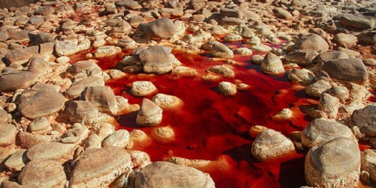 “علامة يوم القيامة” تظهر في برمنغهام البريطانية والسلطات تبدأ بالتحقيقات (صورة)