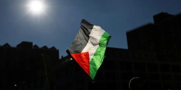 مكاسب بالجملة.. ماذا يعني اعتراف عدة دول بفلسطين؟