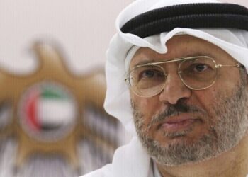 قرقاش: قرار عودة سوريا للجامعة العربية صائب لكن لا بد أن نرى منها معالجات لعدد من القضايا