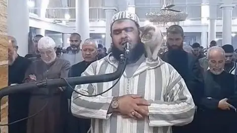 بعد ضجة “قطة” الشيخ الجزائري.. فتوى حول السؤال الذي شغل القراء