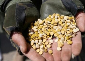 الجيش الأردني يحبط محاولة تهريب مخدرات من سوريا