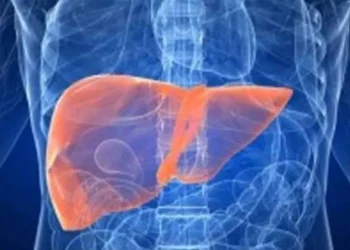 5 أطعمة مُضرّة بالكبد… تجنب تناولها