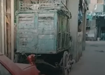 بالصدفة.. ممثل مصري يعثر على “كنز” في الشارع
