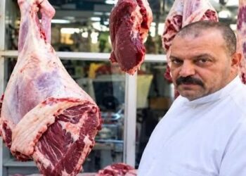السجن 10 سنوات لبائع لحم الخنزير في محافظة النجف