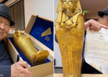 بطاقة دعوة افتتاح المتحف المصري الكبير تخطف الأنظار “فيديو”