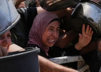 “لوقف حرب غزة” أكثر من 200 دبلوماسي أوروبي يطالبون بالتحرك العاجل