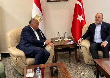 وزير الخارجية التركي يزور القاهرة السبت