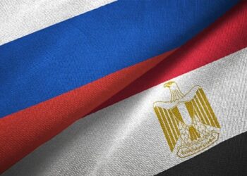 شركة أخشاب روسية كبيرة توجه ضربة كبيرة لأوروبا عبر مصر