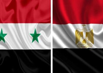 أول مسؤول مصري يصل سوريا منذ 2011