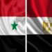 أول مسؤول مصري يصل سوريا منذ 2011