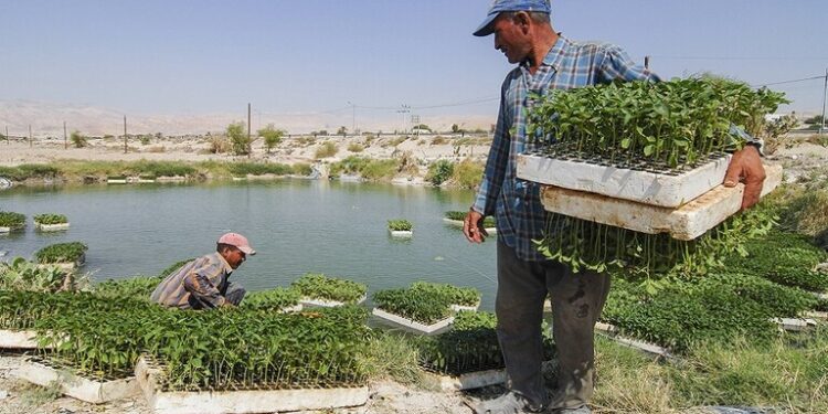 وزير أردني: سوريا رفضت طلب الأردن تزويده بالمياه