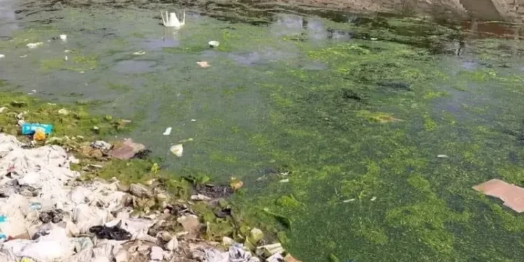 أوبئة تهدد عرشه.. صور نفايات ومياه آسنة تملأ رافداً من دجلة