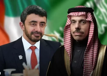 وزيرا خارجية السعودية والإمارات يؤكدان على الشراكة الاستراتيجية لدعم الأمن