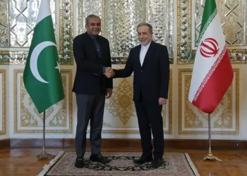 وزير داخلية باكستان سيبحث في طهران التصعيد الحوثي في اليمن