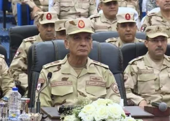وزير الدفاع المصري: قضية فلسطين تواجه منحنى شديد الخطورة